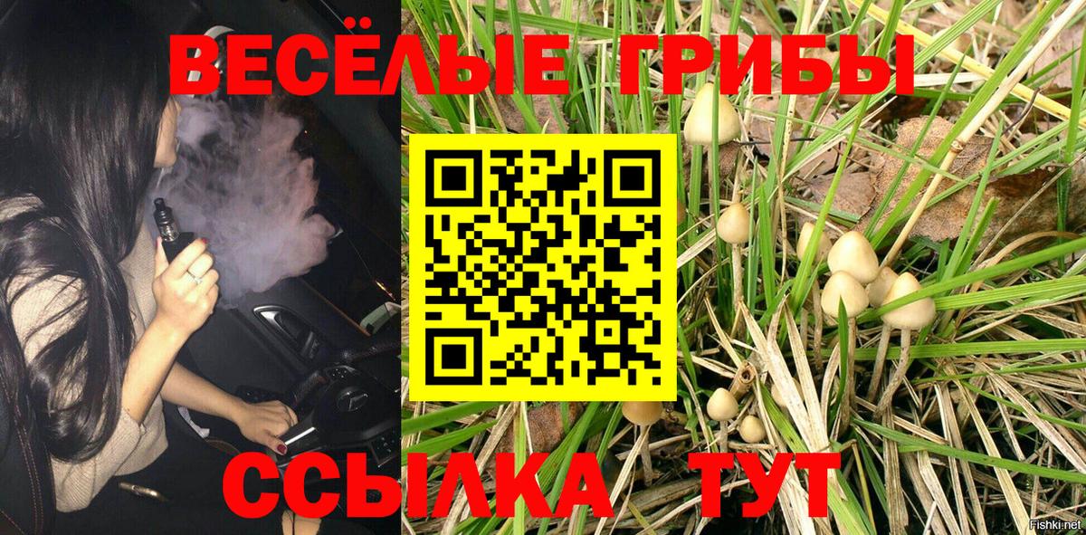 Псилоцибиновые грибы Psilocybine cubensis Сибай